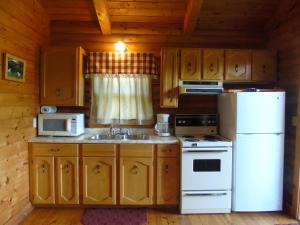 印第安雪松木屋假日公园的厨房或小厨房