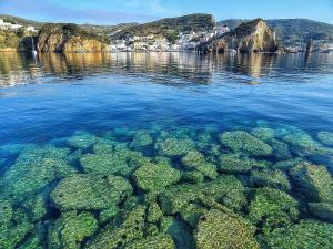 蓬扎Ponza Holiday Homes - Santa Maria的一大片水体,有岩石和藻类