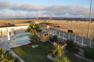 拉古萨Casa Vacanze Agriturismo Cilone的后院设有游泳池和带牛的田野