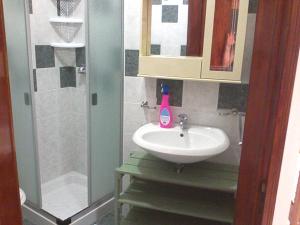莱乌卡Casavacanze Antonio的一间带水槽和淋浴的浴室