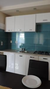 伊沃尼奇-兹德鲁伊Apartament Grey的厨房配有白色橱柜和水槽