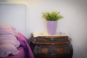 圣温琴佐丹尼亚别墅酒店的木桌上方的盆栽植物