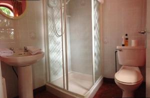 克利夫登Eriu Lodge的带淋浴、卫生间和盥洗盆的浴室