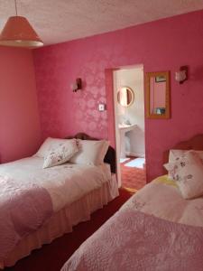 克利夫登Eriu Lodge的一间卧室设有两张床和粉红色的墙壁