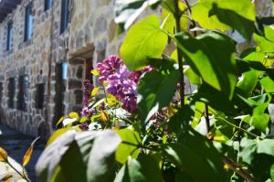 纳瓦雷东达德格雷多斯Hostal Refugio De Gredos的建筑前方带紫色花的窗框