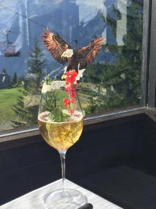 萨奥兹-杜尔克斯伊尔卡普利科诺小木屋酒店的窗户上鸟儿的一杯葡萄酒