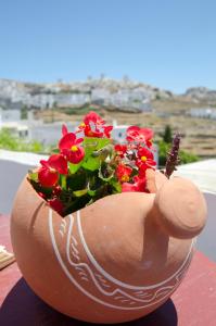 阿莫尔戈斯Pension Ilias - Chora Amorgos的桌子上摆着花的盆子