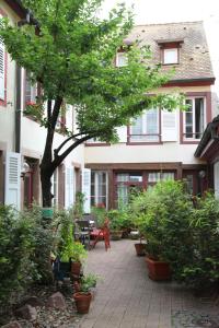 斯特拉斯堡阿特利尔公寓的一座庭院,在一座建筑前方,有植物和树