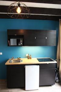 斯特拉斯堡阿特利尔公寓的厨房设有水槽和蓝色的墙壁