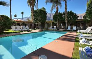 棕榈泉7斯普林斯旅馆&套房酒店的一个带椅子的游泳池,棕榈树