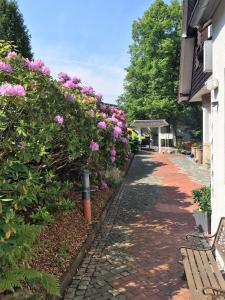 布劳恩拉格图托尼雅酒店的一座花园,旁边是一座粉红色的花卉