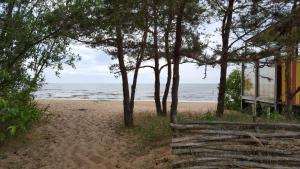 拉脱维亚萨尔里迪的海滩上有栅栏和树木,还有海洋