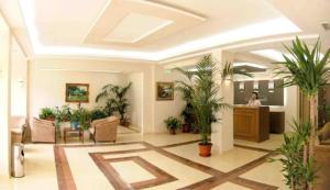 索非亚传奇酒店的大厅里盆栽的植物和室内的女人