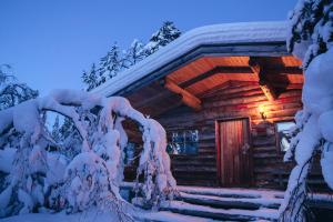 萨利色尔卡卡克斯劳塔宁阿克蒂克度假酒店 - 圆顶小屋和小木屋的雪中的一个小木屋