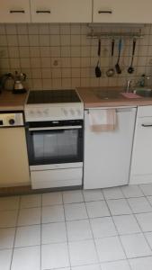 莱茵河畔路德维希港优伦内斯特鲁公寓的厨房配有白色炉灶和水槽