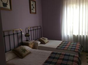 卡里翁德洛斯孔德斯La Abuela Maye y Me的一间卧室设有两张床和窗户。