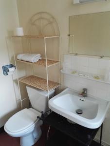 格雷乌莱班乐砗玟新桥旅馆的浴室配有白色卫生间和盥洗盆。