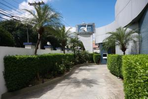 奥萨斯库莫泰高尔夫情趣酒店（仅限成人）的棕榈树建筑前的走道