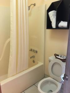 Mena欧扎克汽车旅馆的一间带卫生间、浴缸和淋浴的浴室