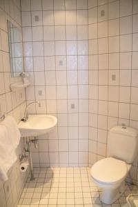 乌得勒支欧尔斯布隆公园酒店的一间带卫生间和水槽的浴室
