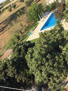 圣切萨廖迪莱切Tenuta "Li Santi"的享有游泳池和树木的顶部景致