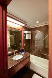 科钦特里丹特柯钦酒店的一间带水槽和淋浴的浴室