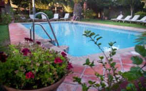 塔里法百分百乐趣酒店的院子里鲜花盛开的游泳池