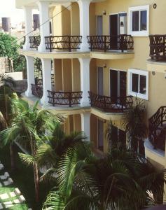 普拉亚卡门拉斯帕尔马斯公寓的一座带阳台的建筑,前面有棕榈树