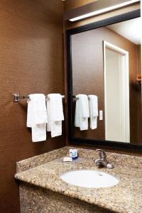 凤凰城卡尔森江山旅馆 - 凤凰城机场的浴室配有盥洗盆、镜子和毛巾