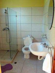 蓬塔露奇亚Corales Punta Rusia的浴室配有卫生间、盥洗盆和淋浴。