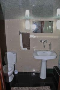 姆茨赫塔Hotel Queen的一间带卫生间和水槽的浴室