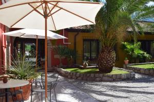 加尔达湖滨瑟格提尼公寓式酒店的一个带遮阳伞和桌子及棕榈树的庭院