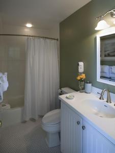 布鲁斯特海际之村高尔夫俱乐部度假村的浴室配有卫生间、盥洗盆和淋浴。