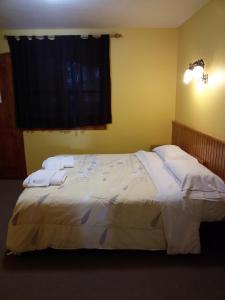 圣卡洛斯-德巴里洛切弗洛尔宾馆的一间卧室配有一张带两个白色枕头的大床