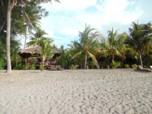毛梅雷海洋世界俱乐部海滩潜水中心度假村 的棕榈树沙滩和度假村