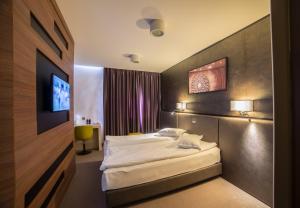 布拉索夫Hotel Lux Divina的酒店客房,配有床和电视