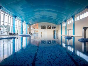 查尔维尔Charleville Park Hotel & Leisure Club IRELAND的一座带鸭子的室内游泳池