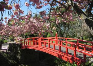 奥玛鲁高山汽车旅馆的公园里一座红色的桥,花粉色