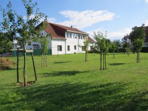 Usedom TownFerienhof Gliesner的一群树木在建筑前的田野里