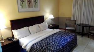 米德兰别墅酒店 - 米德兰的一间卧室配有一张大床和一把椅子