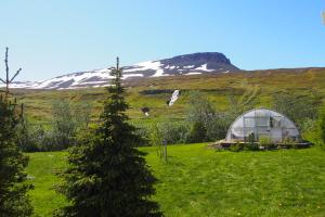 Granastaðir格兰艾斯陶住宿加早餐旅馆的相册照片