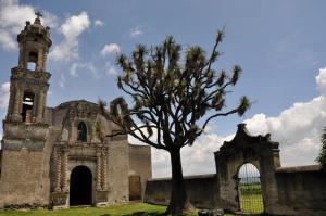 瓦曼特拉Hacienda Santa Barbara Casa Malinche的一座古老的教堂,前面有一棵树