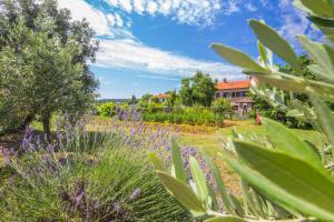 普拉Pula Istria Apartments的一座鲜花盛开的花园,一座房子的背景
