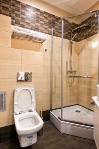 圣彼得堡伊格尔克宾馆的一间带卫生间和淋浴的浴室