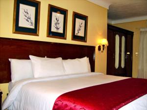 亚历山大亚历山大地中海套房酒店的卧室配有一张大白色床和红色毯子