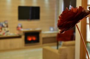 格拉玛多格拉玛多斯蒂罗旅馆的带壁炉的客厅里的红花