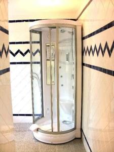 霍恩-巴特迈恩贝格西尔本穆勒森林酒店的浴室角落的淋浴