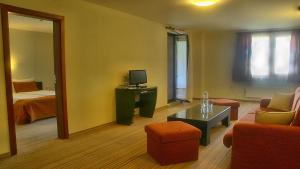 里巴里卡Spa Hotel Planinata的一间带一张床和电视的客厅