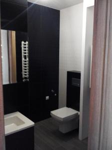 希维拉杜夫-兹德鲁伊Apartament Nowoczesny的一间带卫生间和水槽的浴室
