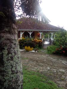 Rivière-SaléeVilla CACAO的前面有棕榈树的房子